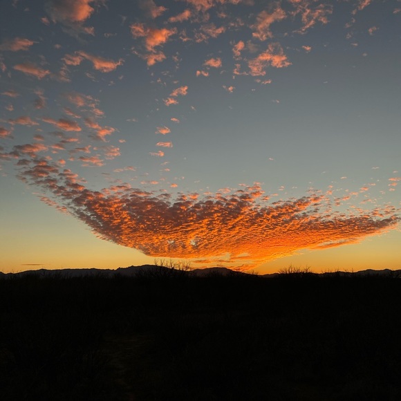 Meet the Posher!! :) - Picture 3 of 6